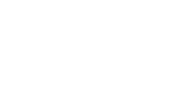 The North Face logo